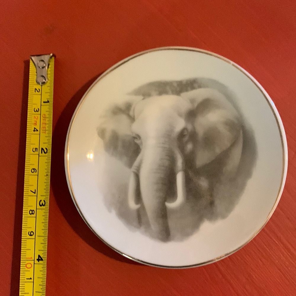 Mini elephant plate